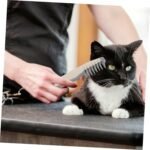 Pet Hair Trimmer For Precision Haircuts And Grooming  Electric Razor 4 AA Batteries Are Required For Use Without Batteries - Image 10